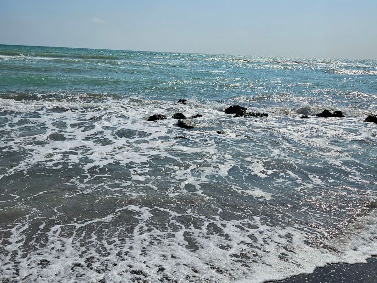Essentials for an All-Day Beach&nbsp;Day
